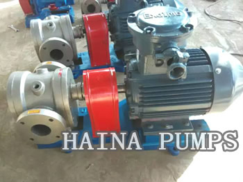 Jacketed SS Gear Pumps YCB-G Series