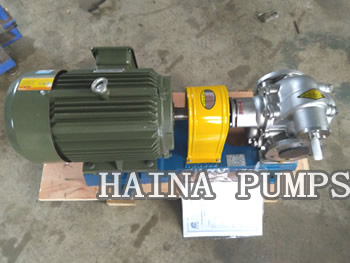 KCB-300 SS Gear Pump