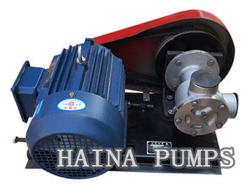 NCB Internal Gear Pump 2
