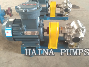 Stainless Steel Rotary Gear Pumps with motor