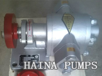 Stainless Steel Rotary Gear Pumps