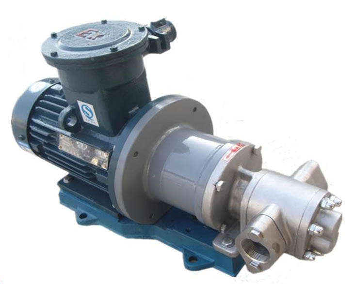 Magnetic drive gear pump